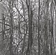 ARTIFICIAL MEMORY TRACE - Ama_Zone1: Black Waters